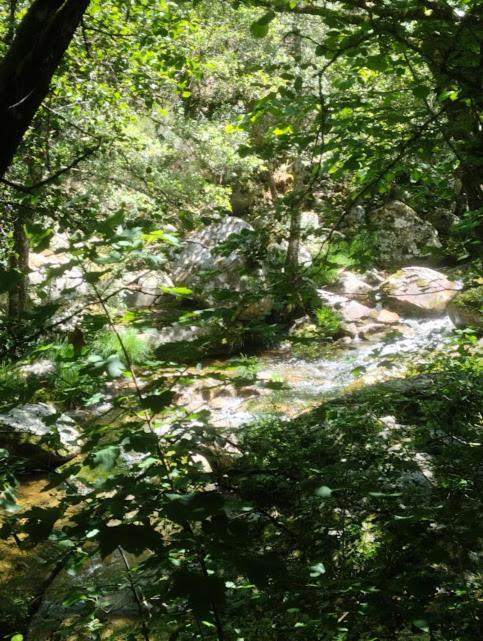 O Recuncho Da Isa - Ribeira Sacra Villa Pereiro de Aguiar Kültér fotó